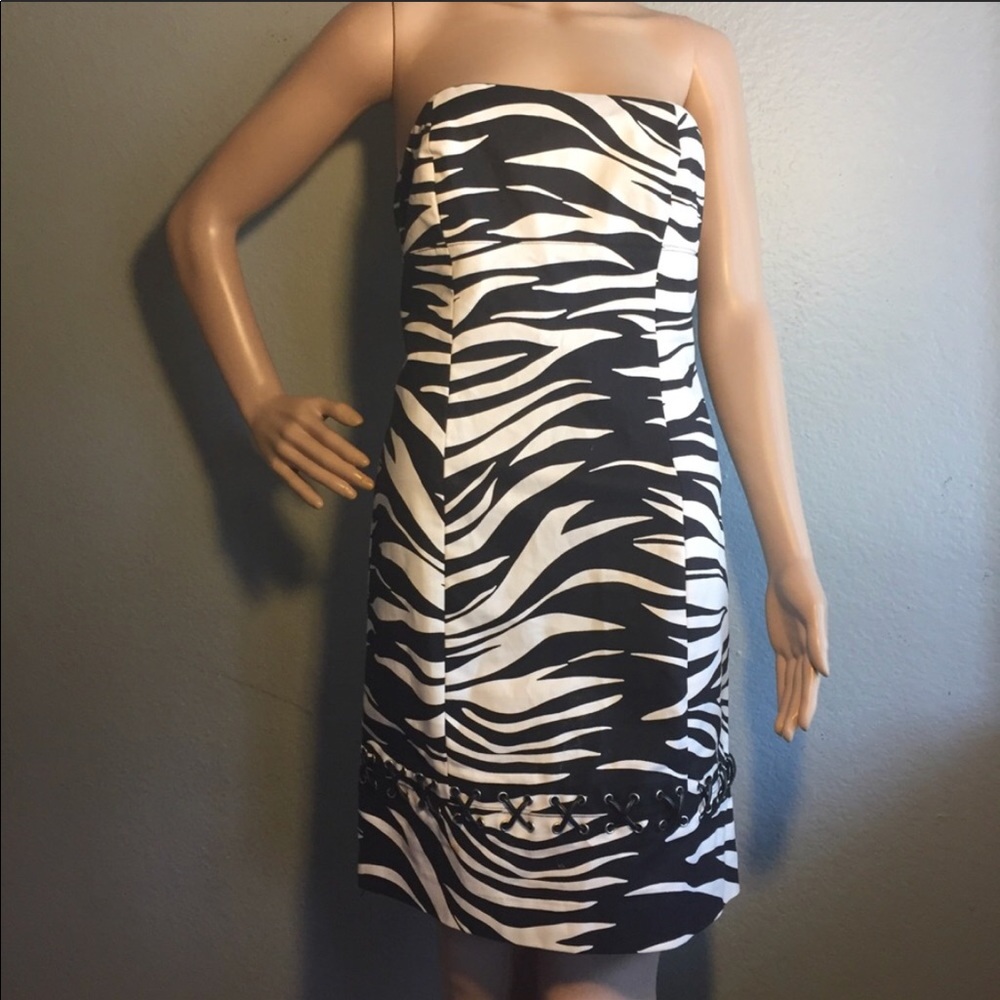 Michael Kors Zebra Striped Animal Print Dress